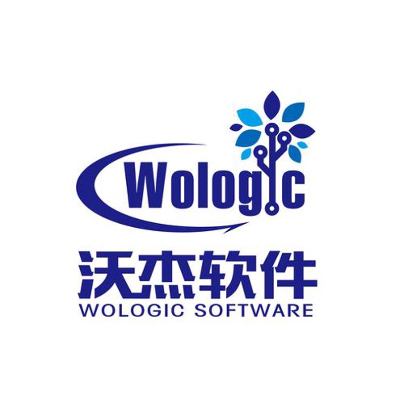 定制进销存系统：企业成长的智能伙伴